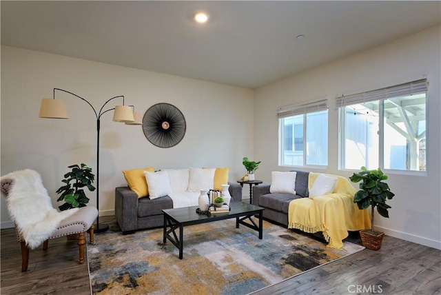 living room with baseboards and wood finished floors