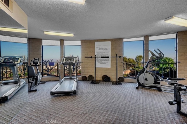 exercise room featuring a healthy amount of sunlight, carpet, and visible vents