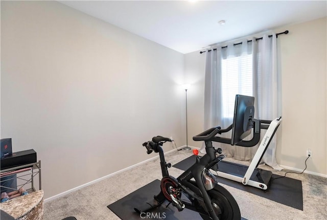 exercise area featuring carpet floors and baseboards