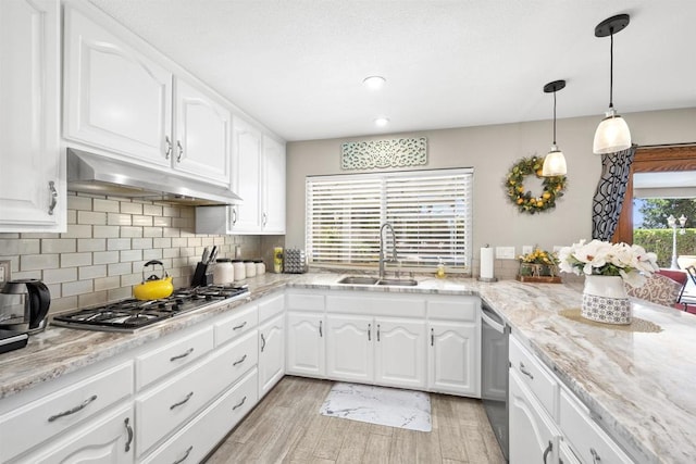 kitchen featuring stainless steel appliances, decorative backsplash, a sink, light wood-style floors, and under cabinet range hood