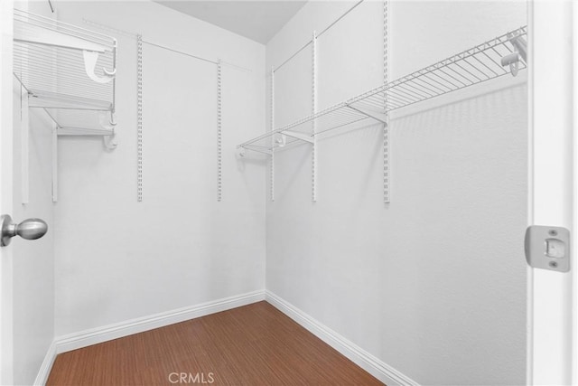 spacious closet with wood finished floors