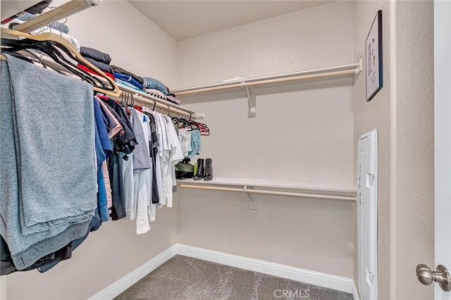 spacious closet featuring carpet