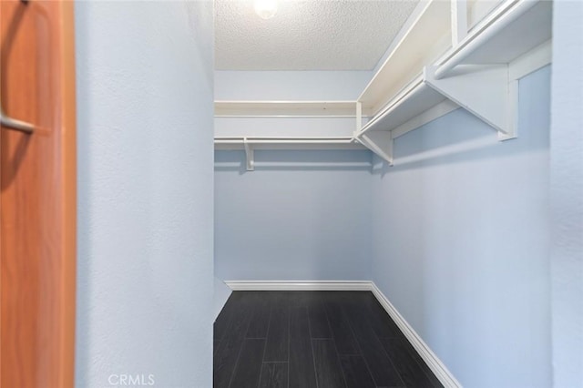 walk in closet with dark wood-style flooring