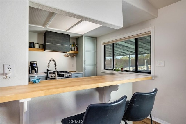 bar featuring baseboards and custom range hood