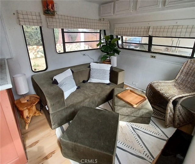 living room featuring light wood-style floors