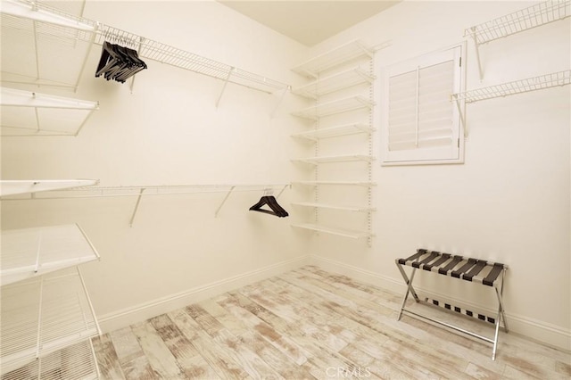 spacious closet featuring wood finished floors