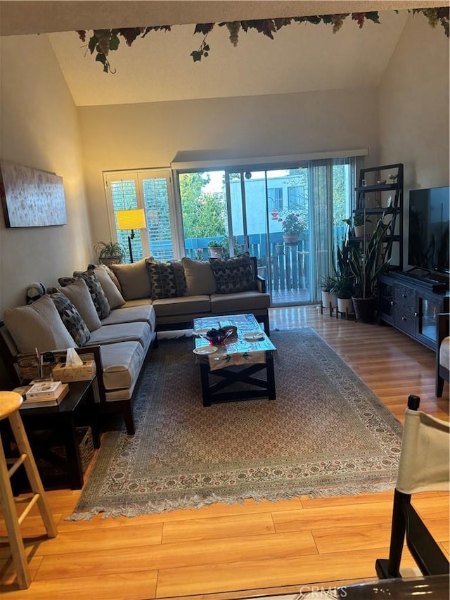 living area featuring high vaulted ceiling and wood finished floors