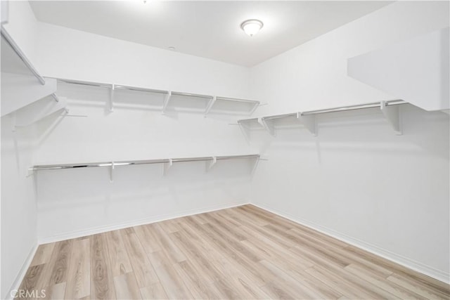 walk in closet with wood finished floors