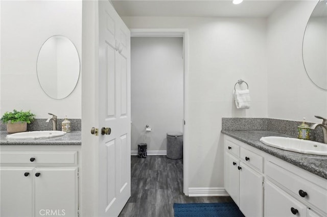 bathroom featuring two vanities, a sink, and wood finished floors