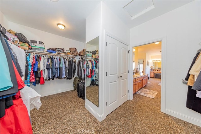 walk in closet with attic access and carpet flooring