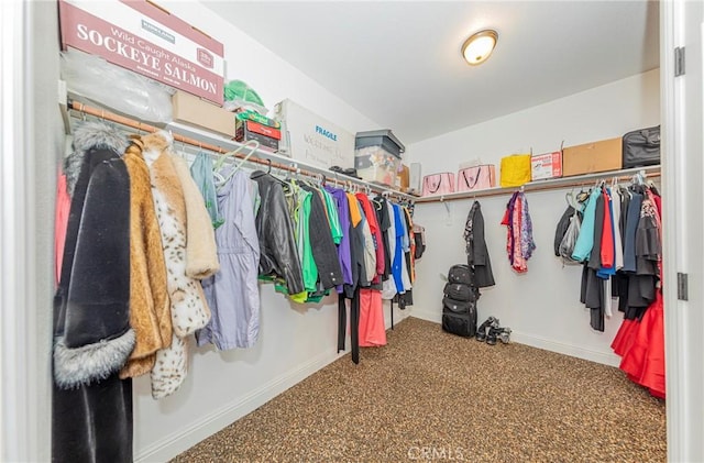 spacious closet featuring carpet