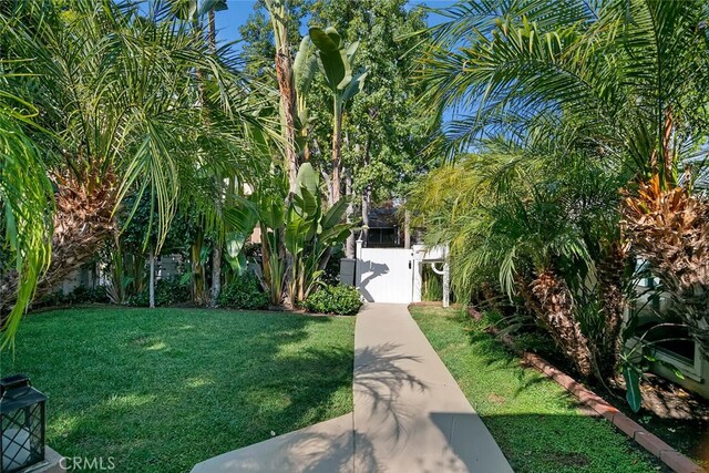 4816 Atoll Ave, Sherman Oaks, CA 91423 - view of green lawn