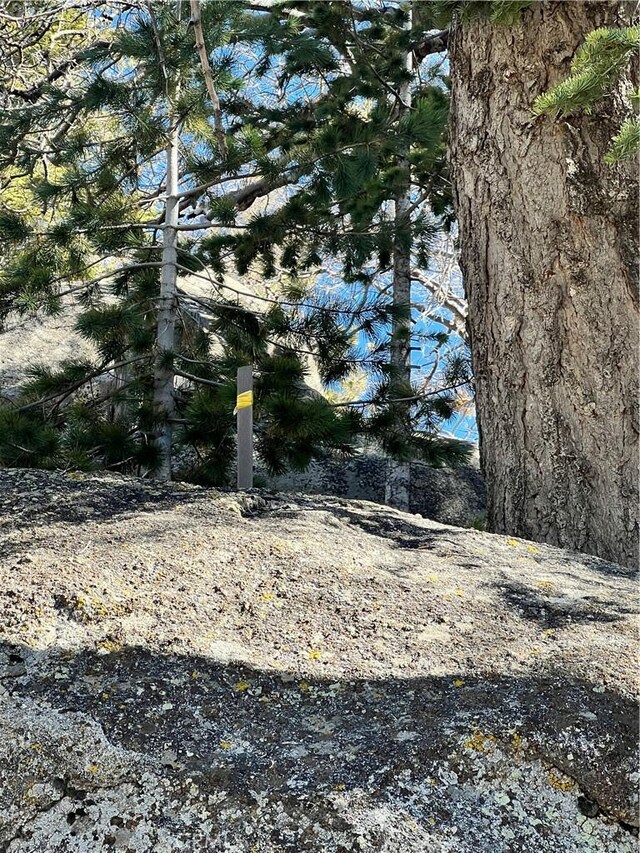 0 Woodland Ct, Arrowbear, CA 92382