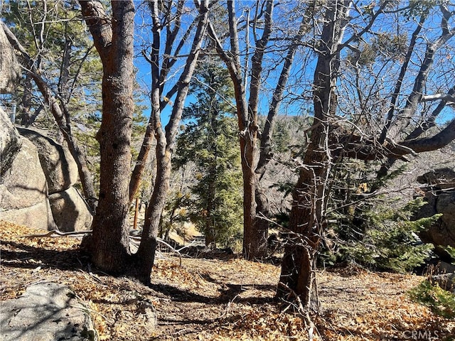 0 Woodland Ct, Arrowbear, CA 92382