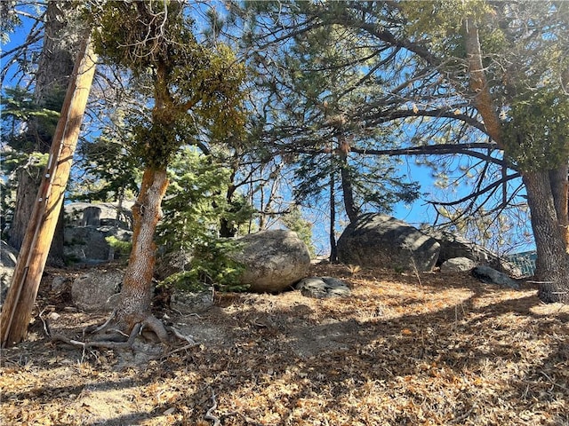 Listing photo 2 for 0 Woodland Ct, Arrowbear CA 92382