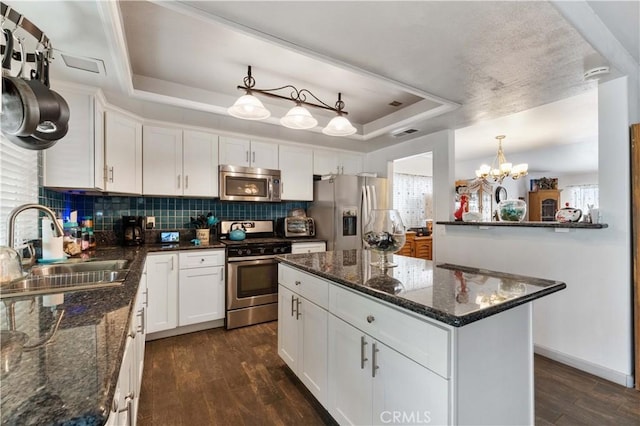 kitchen featuring a raised ceiling, dark wood-style floors, appliances with stainless steel finishes, a sink, and backsplash