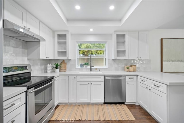 kitchen with a raised ceiling, a peninsula, stainless steel appliances, under cabinet range hood, and a sink