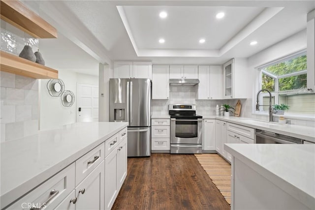 kitchen with under cabinet range hood, stainless steel appliances, a sink, tasteful backsplash, and a raised ceiling