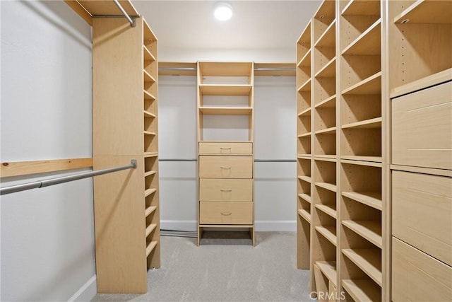 spacious closet with carpet