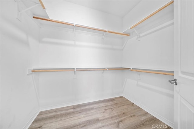 spacious closet featuring wood finished floors