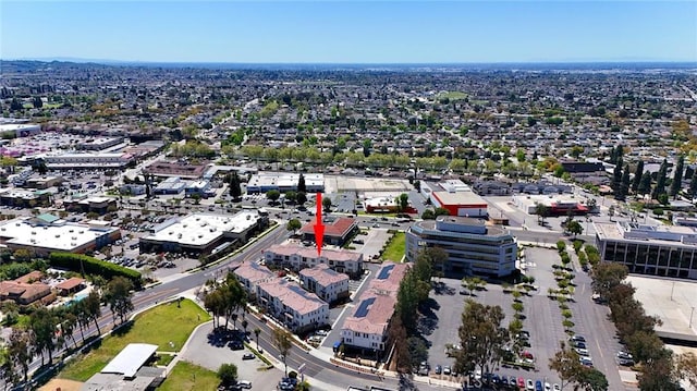 drone / aerial view