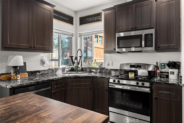 kitchen featuring stainless steel appliances, dark brown cabinets, and a sink