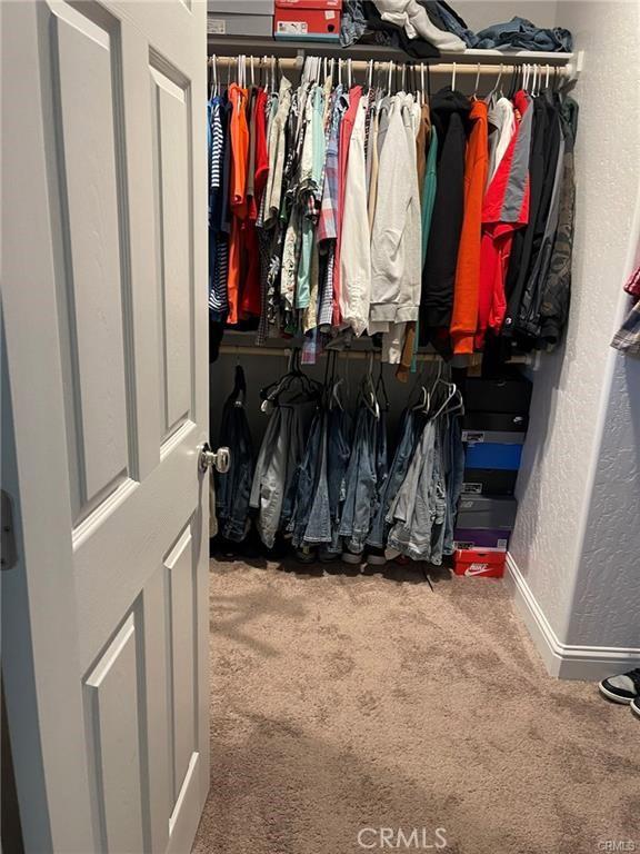 walk in closet featuring carpet flooring