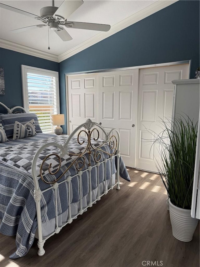 bedroom featuring dark wood-style floors, a closet, crown molding, and ceiling fan