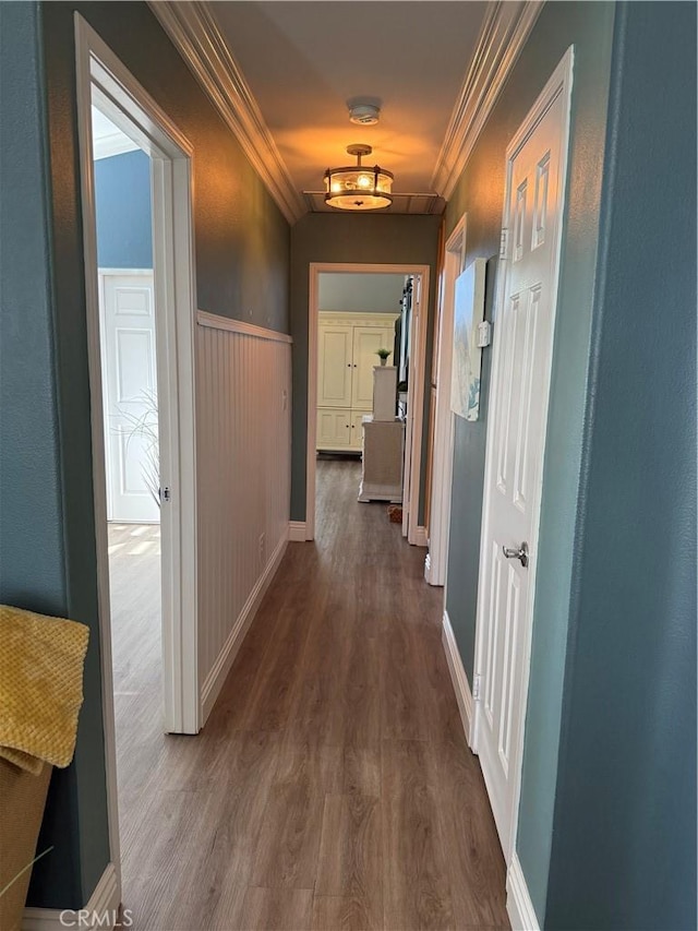 corridor featuring dark wood-style floors, wainscoting, and crown molding