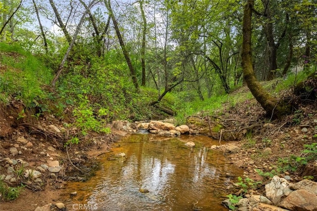 view of local wilderness featuring a wooded view