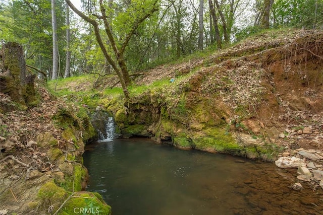 view of local wilderness featuring a forest view