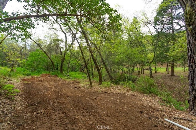 view of landscape