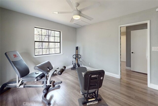 workout room featuring ceiling fan, baseboards, and wood finished floors