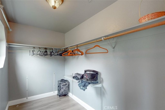 spacious closet featuring wood finished floors