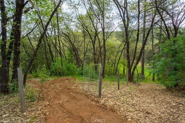 view of local wilderness featuring a forest view