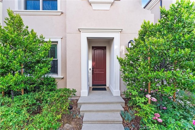 doorway to property featuring stucco siding