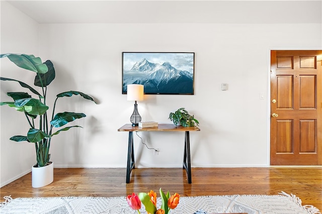 entryway with baseboards and wood finished floors