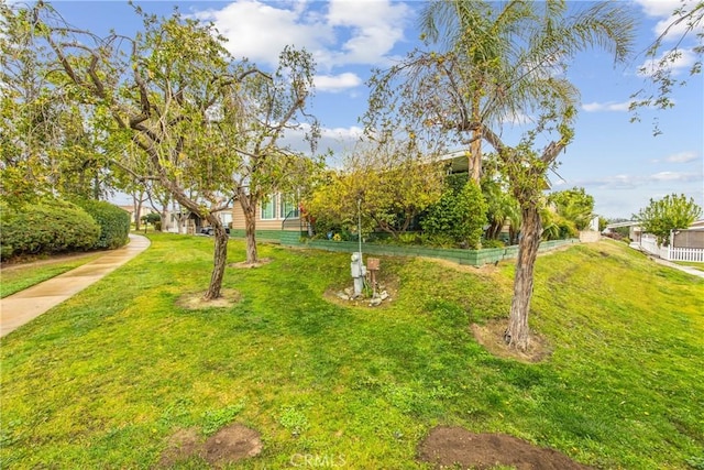 929 E Foothill Unit 161, Upland, CA 91786 - view of yard
