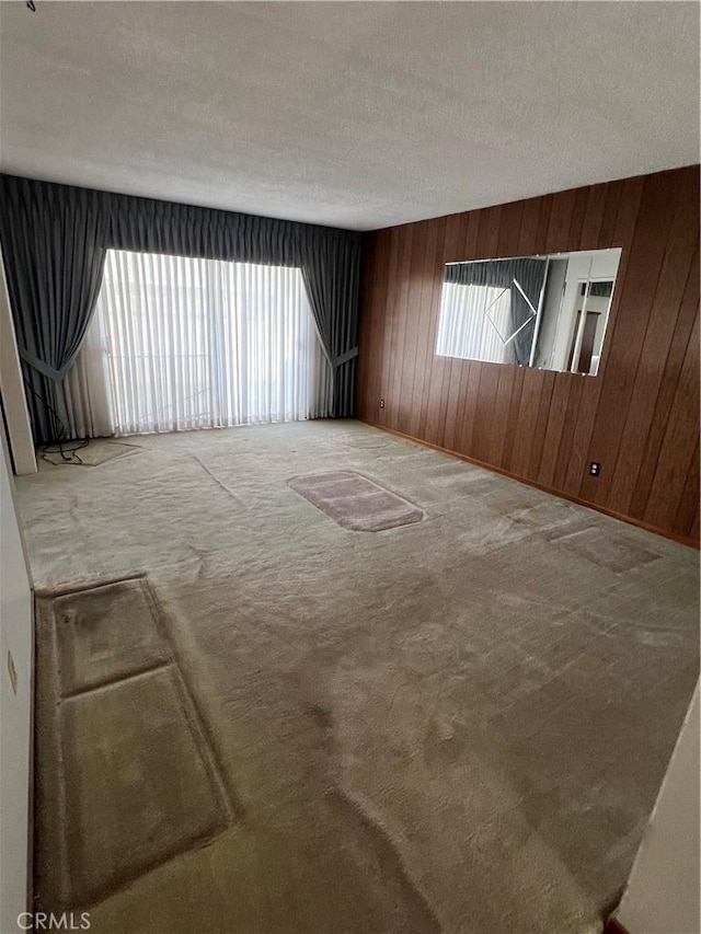 spare room featuring plenty of natural light, wood walls, carpet, and a textured ceiling