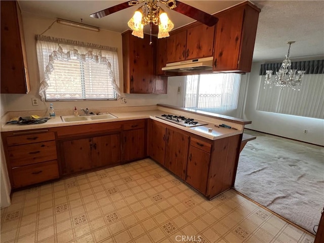 kitchen with light floors, light countertops, under cabinet range hood, white gas cooktop, and a sink