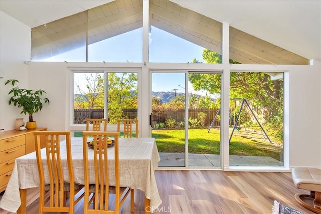 interior space with lofted ceiling with beams and a wealth of natural light