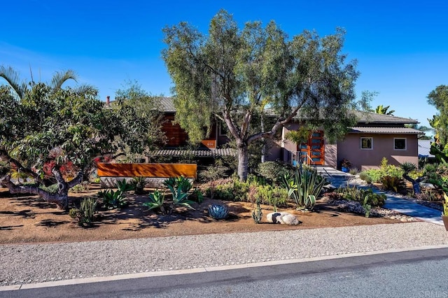 view of front of property featuring stucco siding
