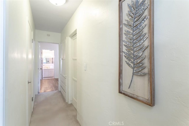 hallway featuring light carpet