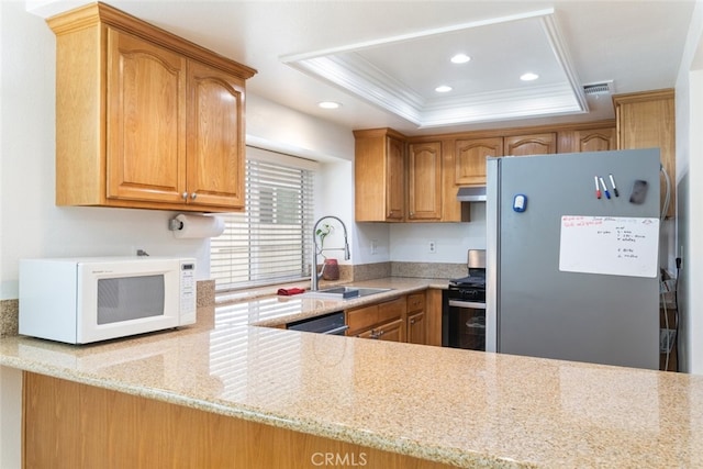 kitchen with extractor fan, a sink, appliances with stainless steel finishes, a raised ceiling, and crown molding