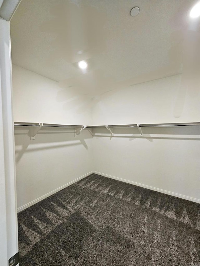 walk in closet with dark carpet