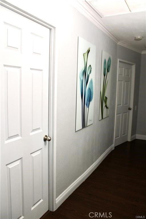 hallway with baseboards, dark wood-type flooring, and crown molding