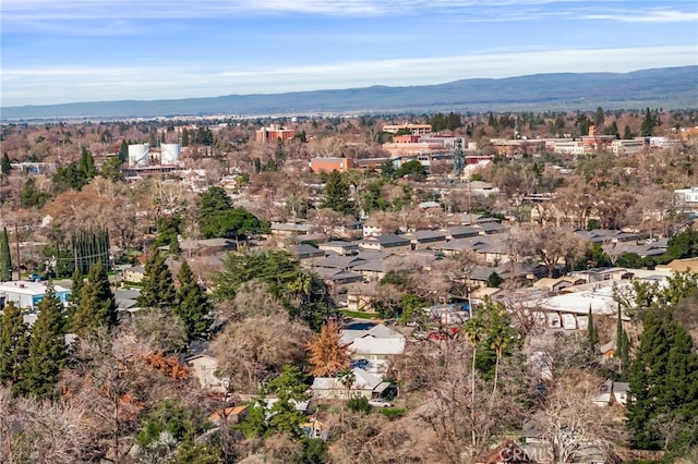 bird's eye view with a mountain view