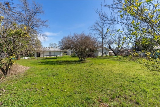 view of yard with a trampoline