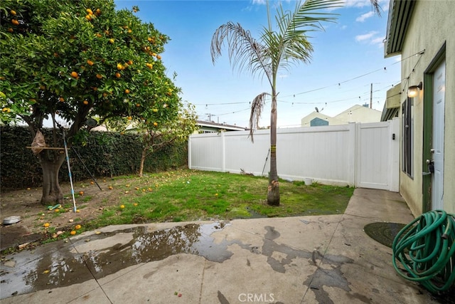 view of yard with a patio area and a fenced backyard