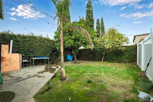 view of yard with a patio area and a fenced backyard